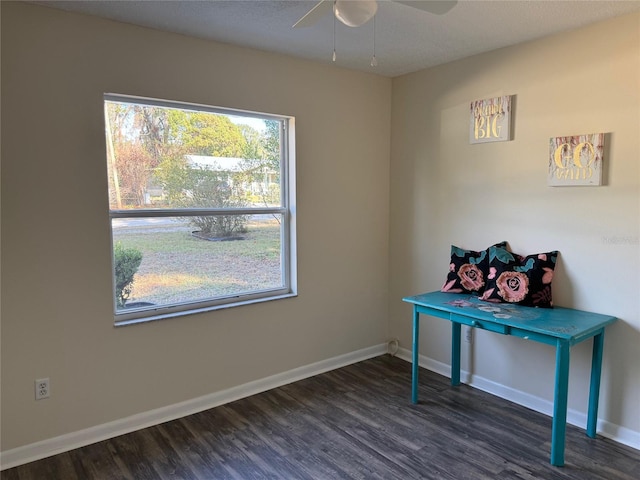 office featuring ceiling fan and dark wood-type flooring