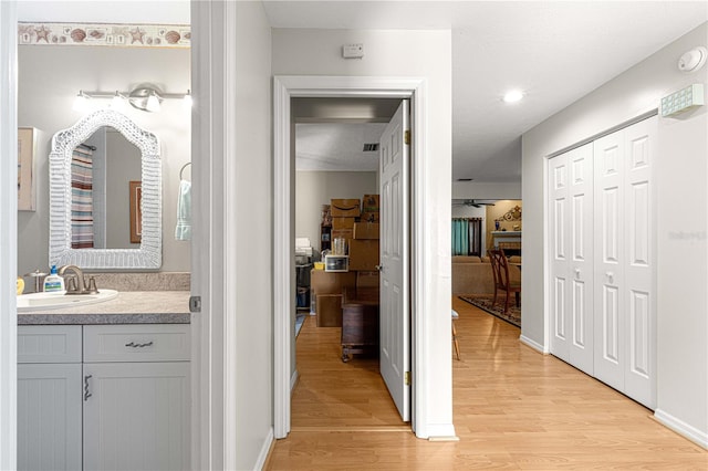 bathroom featuring wood-type flooring and vanity