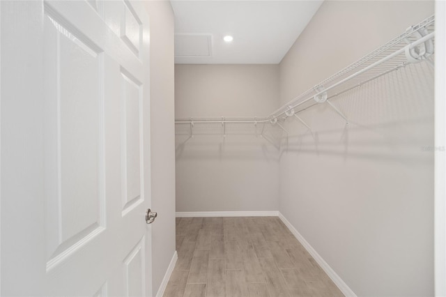 spacious closet featuring light hardwood / wood-style floors