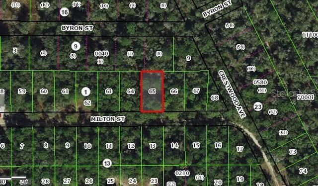 1910 Milton St, Inverness FL, 34453 land for sale