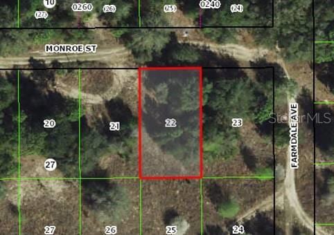 2303 Monroe St, Inverness FL, 34453 land for sale