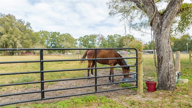 view of gate featuring a rural view