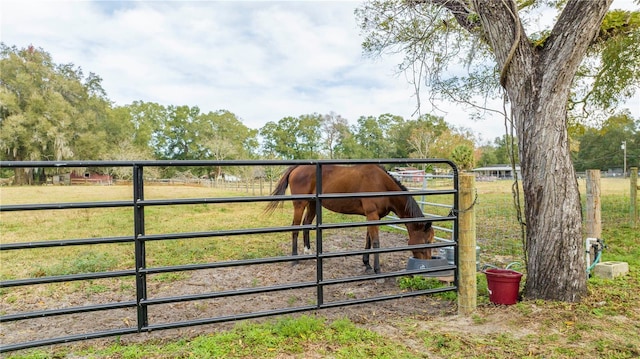 2751 NE 46th St, Ocala, FL 34479 - photo 57