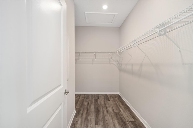 spacious closet with dark wood-type flooring