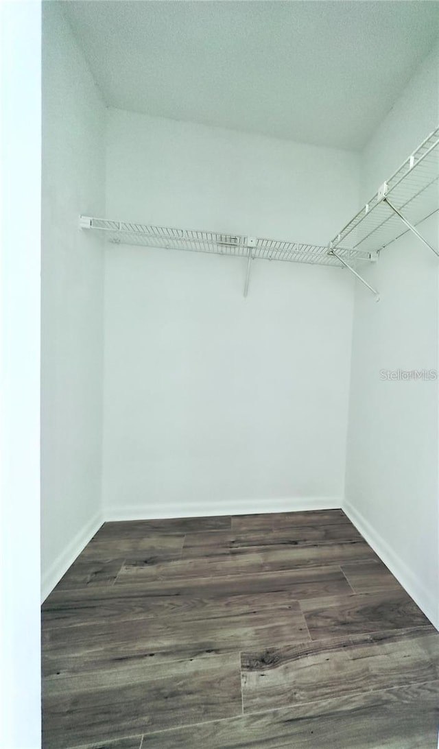 walk in closet with dark hardwood / wood-style flooring