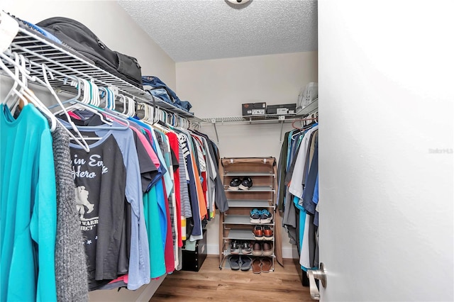 spacious closet featuring hardwood / wood-style floors