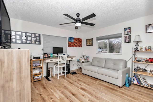 home office featuring ceiling fan, light wood-type flooring, and a textured ceiling