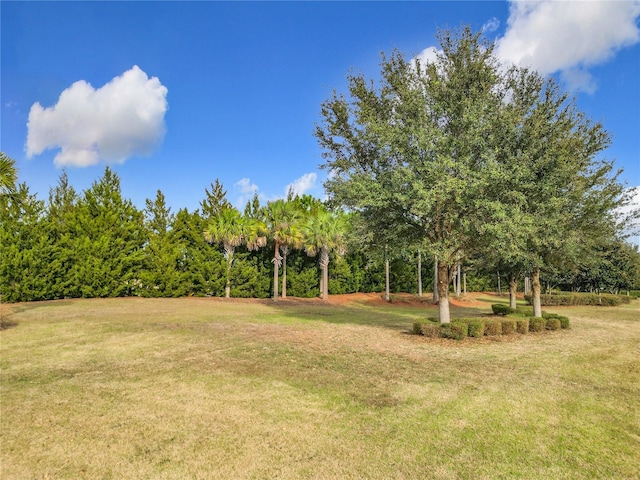 7732 SW 94th Cir, Ocala, FL 34481 - photo 28