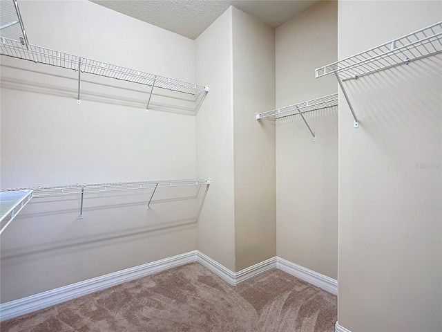 walk in closet featuring carpet flooring