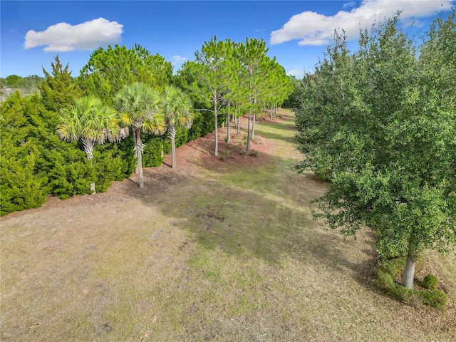 7732 SW 94th Cir, Ocala, FL 34481 - photo 29