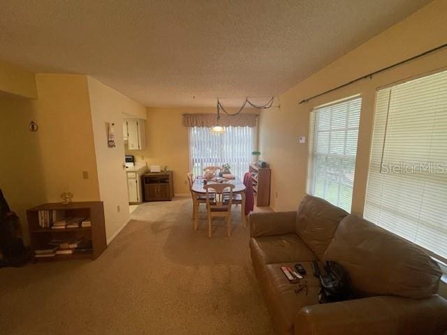 carpeted living room with a textured ceiling