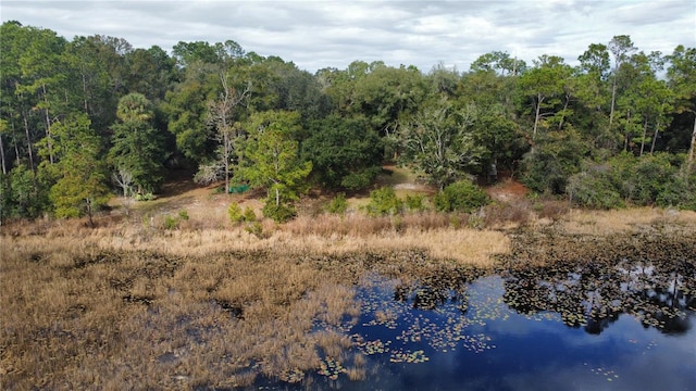 view of nature featuring a water view