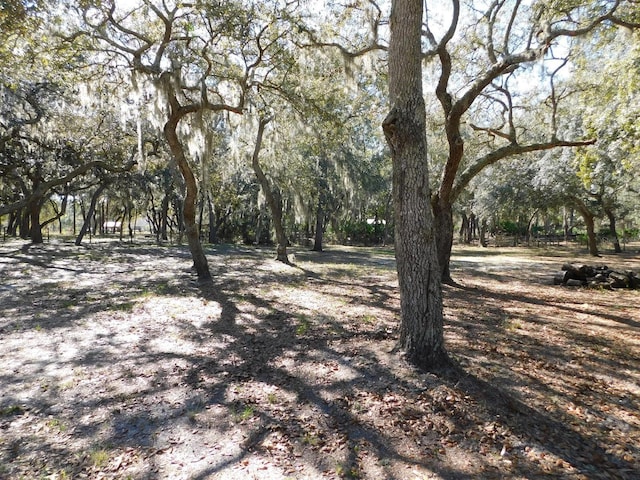 11064 NE 212th Ln, Fort Mc Coy, FL 32134 - exterior space