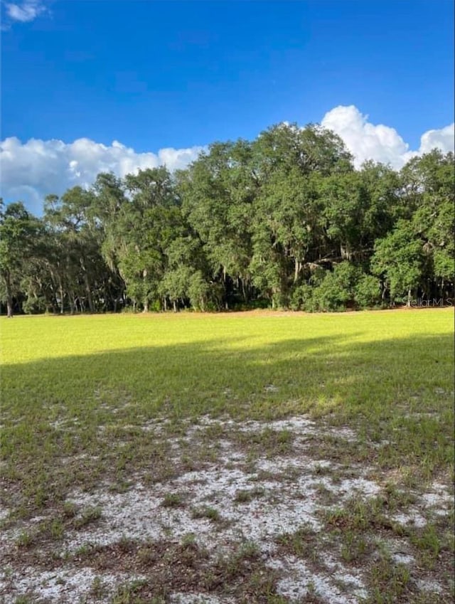 11064 NE 212th Ln, Fort Mc Coy, FL 32134 - view of yard