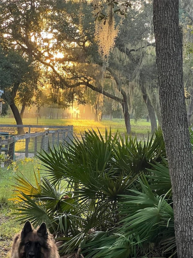 11064 NE 212th Ln, Fort Mc Coy, FL 32134 - view of yard with central air condition unit