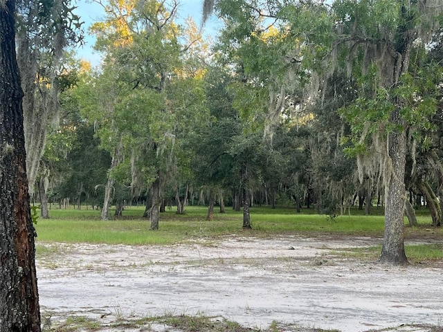 11064 NE 212th Ln, Fort Mc Coy, FL 32134 - view of property's community