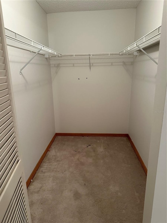 walk in closet featuring carpet flooring