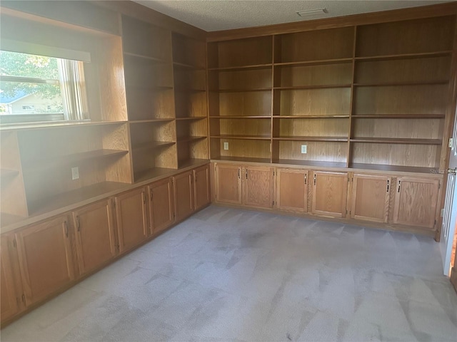 carpeted spare room featuring a textured ceiling and built in features