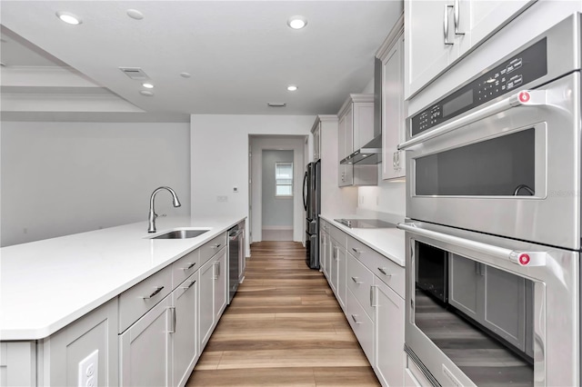 kitchen with sink, light wood-type flooring, wall chimney range hood, and appliances with stainless steel finishes