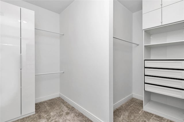 spacious closet featuring light colored carpet