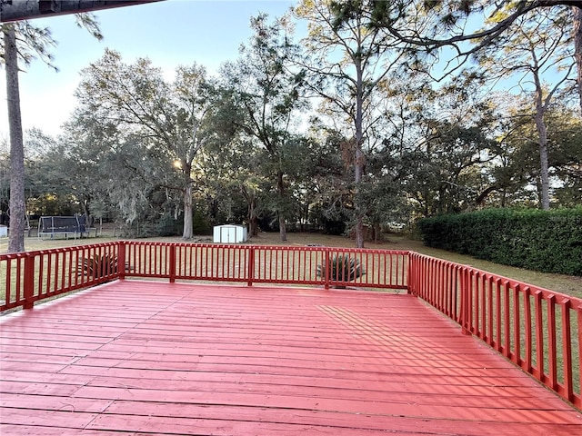 2590 NE 167th Ave, Williston, FL 32696 - photo 34