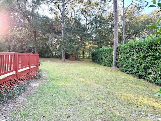 view of yard featuring a deck