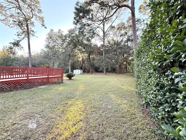 view of yard featuring a deck and a storage unit