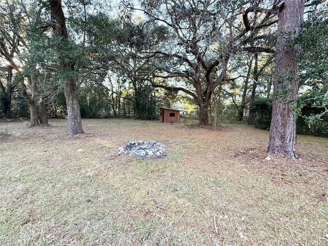 view of yard with a shed