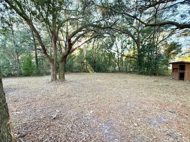 2590 NE 167th Ave, Williston, FL 32696 - photo 39