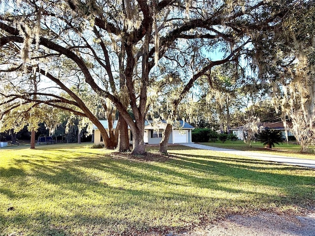 ranch-style house with a garage and a front lawn