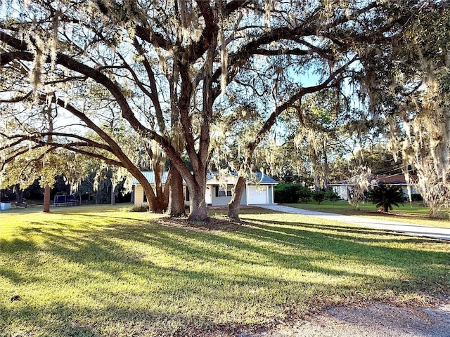 2590 NE 167th Ave, Williston, FL 32696 - photo 47
