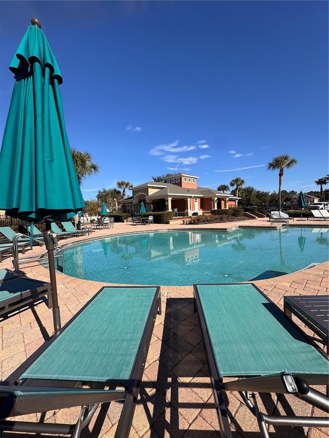 view of pool featuring a patio