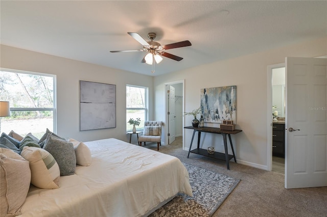 bedroom with carpet flooring, ceiling fan, and a walk in closet