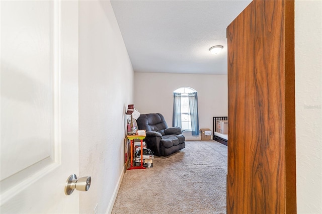 living area with light carpet and a textured ceiling