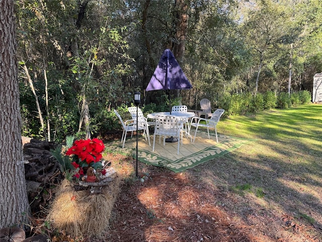 view of yard featuring a patio area