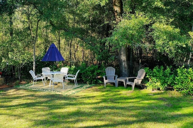 view of yard with a patio area