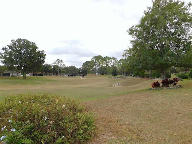 view of property's community featuring a lawn