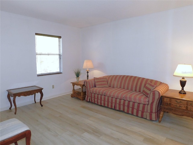 living room featuring light hardwood / wood-style flooring