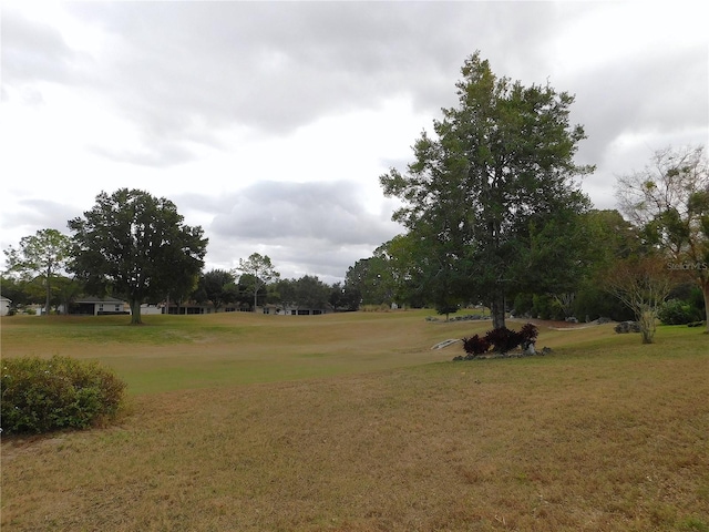 view of community with a yard