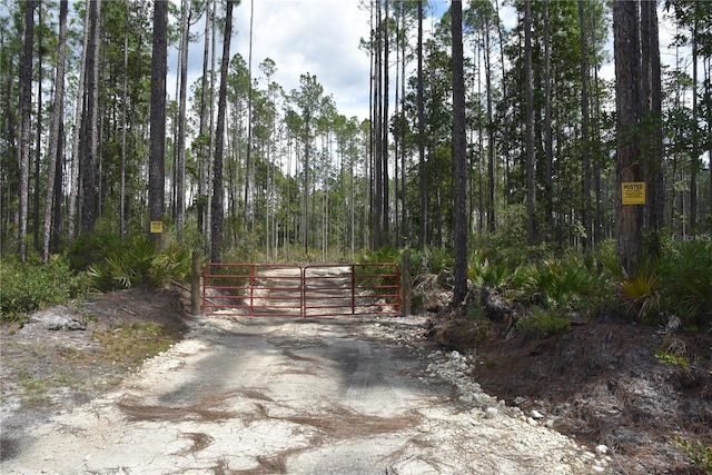 NE 130th Ave, Fort Mc Coy FL, 32134 land for sale