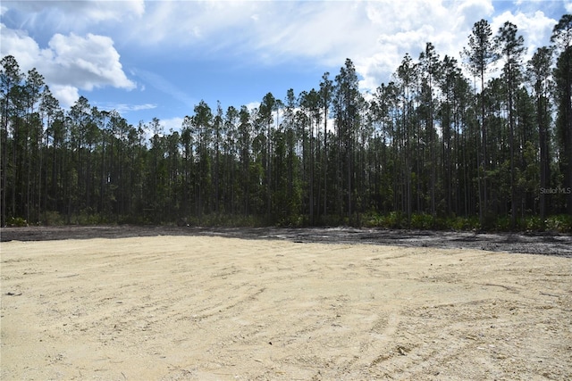 Listing photo 2 for NE 130th Ave, Fort Mc Coy FL 32134