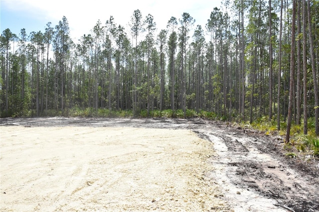 Listing photo 3 for NE 130th Ave, Fort Mc Coy FL 32134