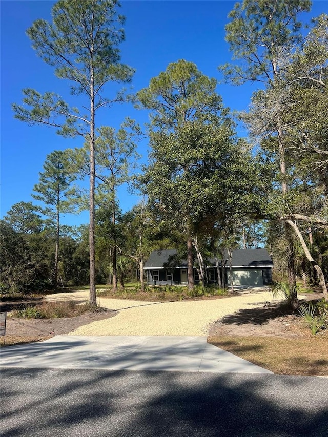 view of road featuring driveway