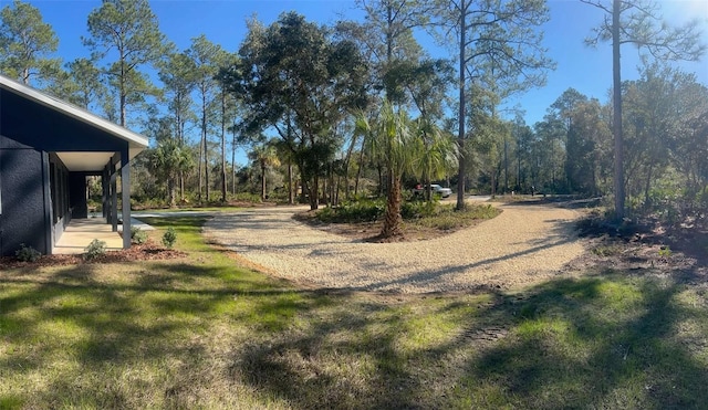 view of street with gravel driveway