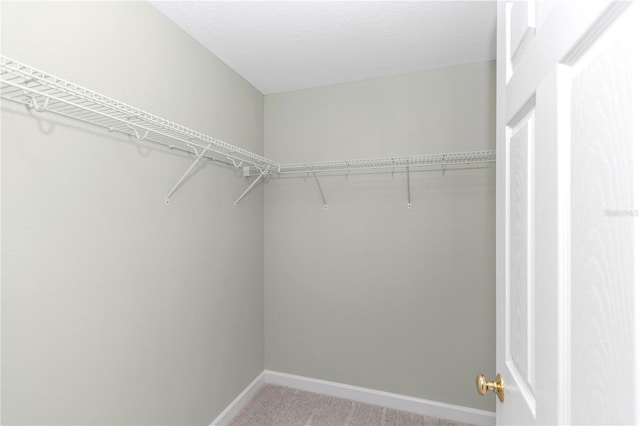 walk in closet with light colored carpet