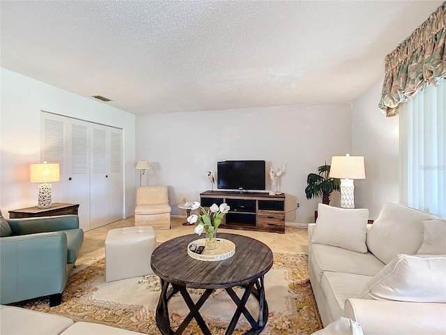 living room featuring a textured ceiling