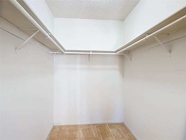 walk in closet with carpet floors