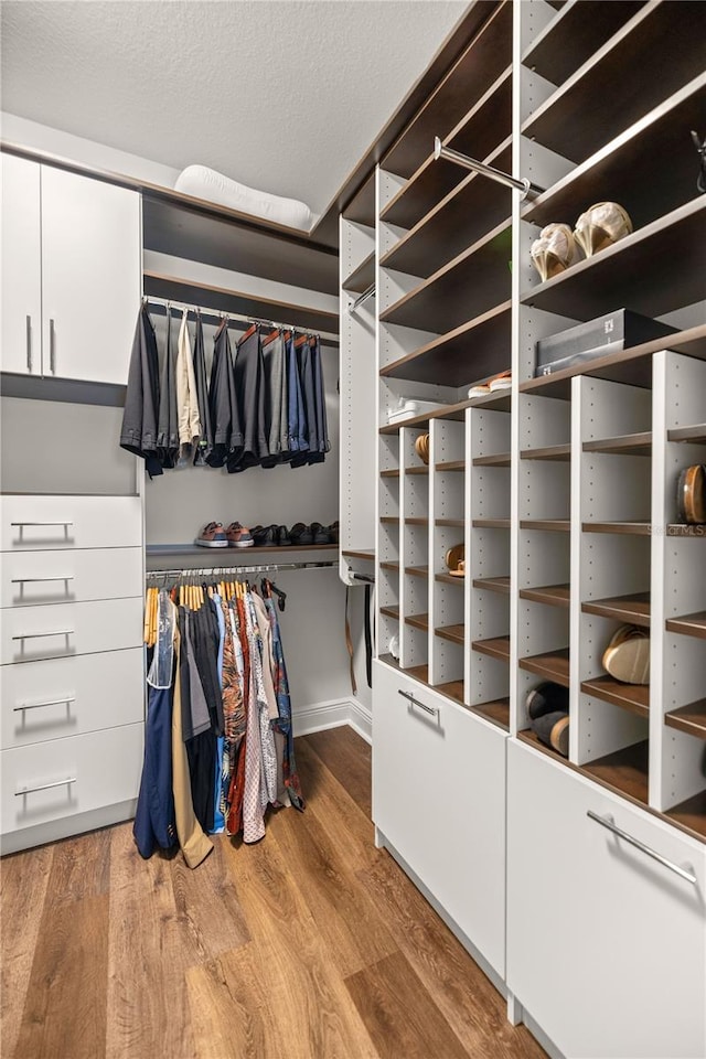 spacious closet with hardwood / wood-style flooring