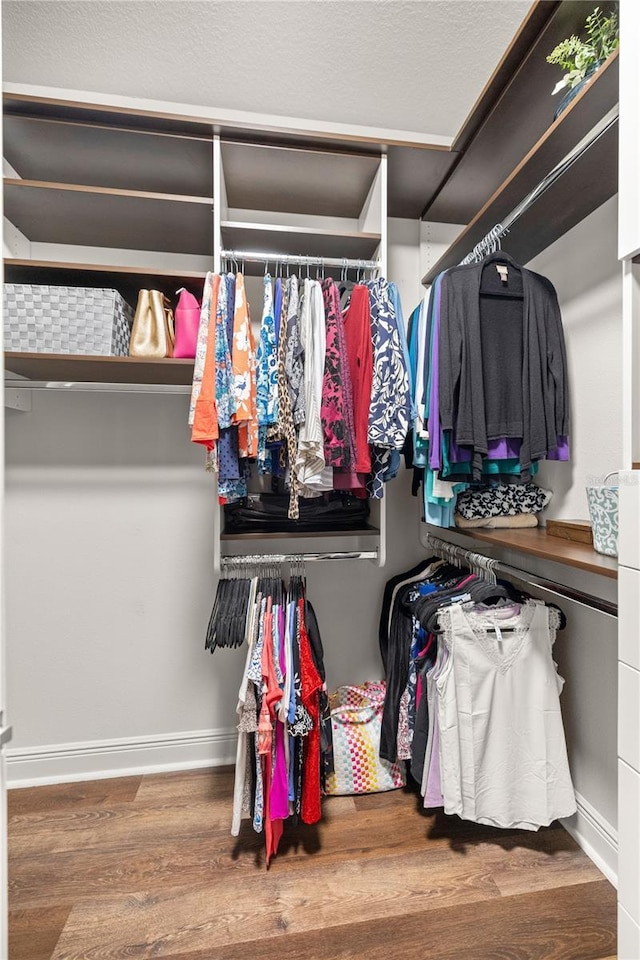 spacious closet featuring wood-type flooring