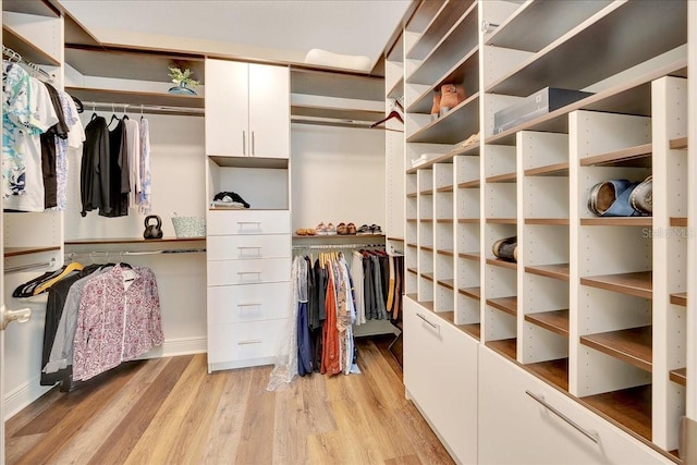 6407 SW 45th Ave, Ocala, FL 34474 - spacious closet with light wood-type flooring